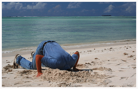 Head in the sand